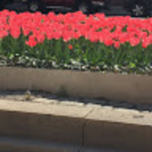 Meet your Posher, Samar